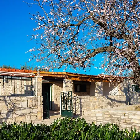 House With A Parking Space Cove Pelegrin, Korcula - 23866