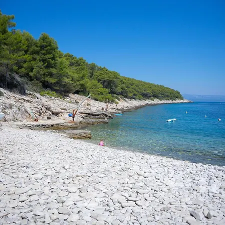 House With A Parking Space Cove Pelegrin, Korcula - 23866